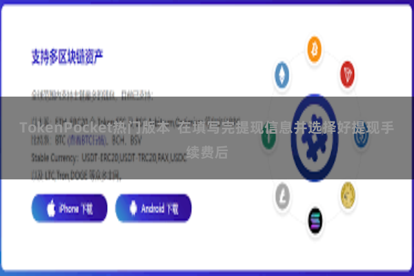 TokenPocket热门版本  在填写完提现信息并选择好提现手续费后